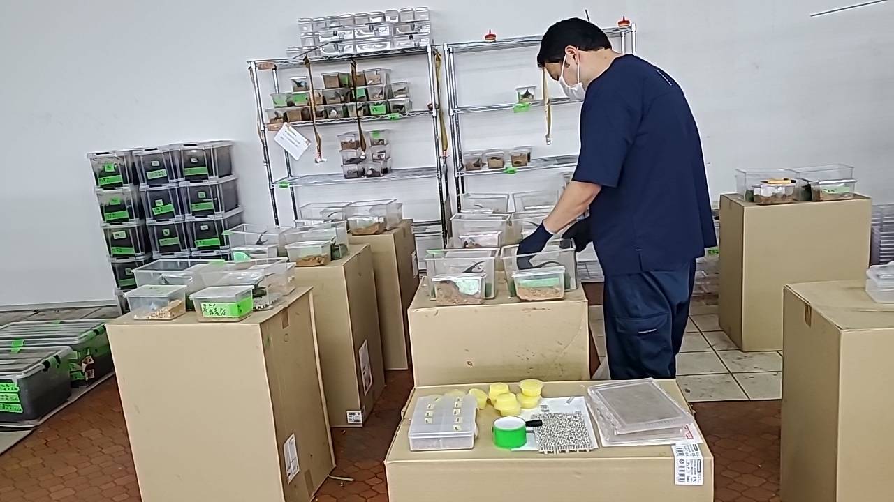 個体管理