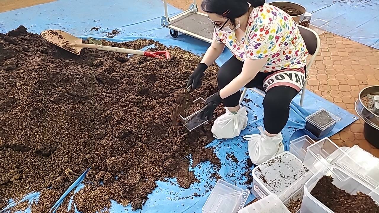 マット詰め作業