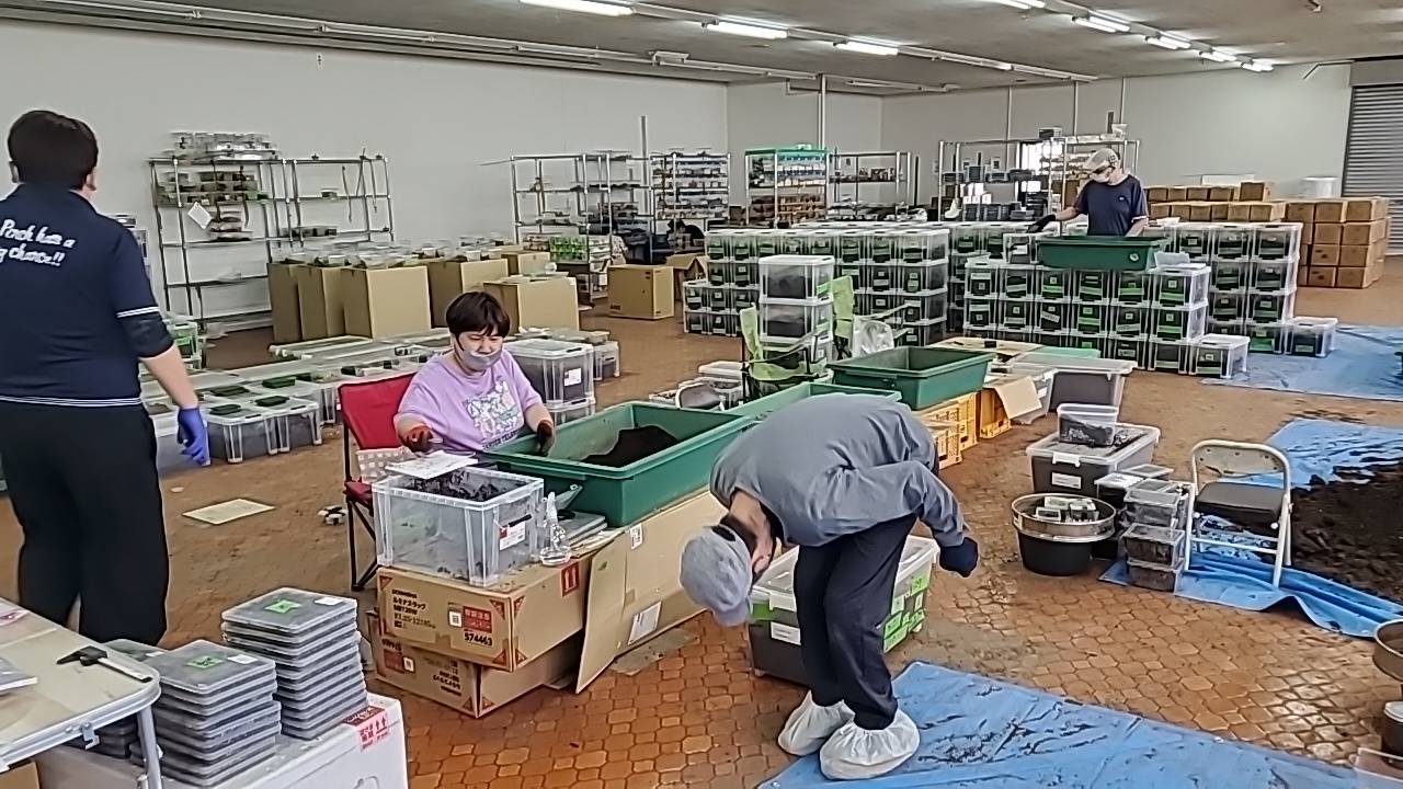 飼育場全景